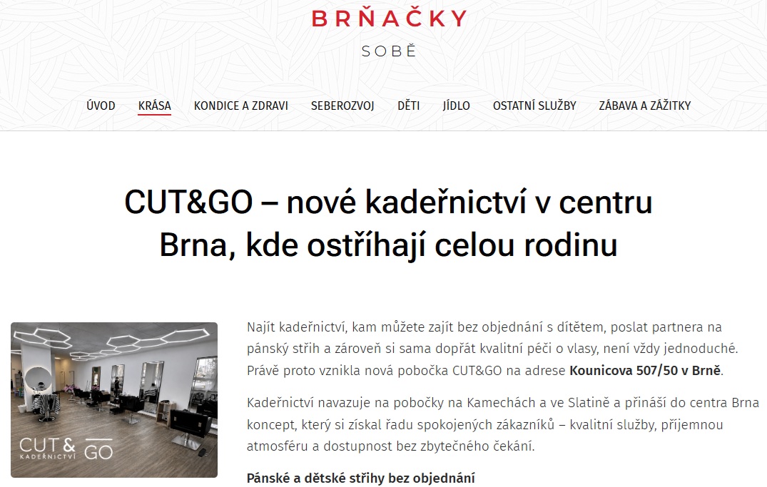 article preview