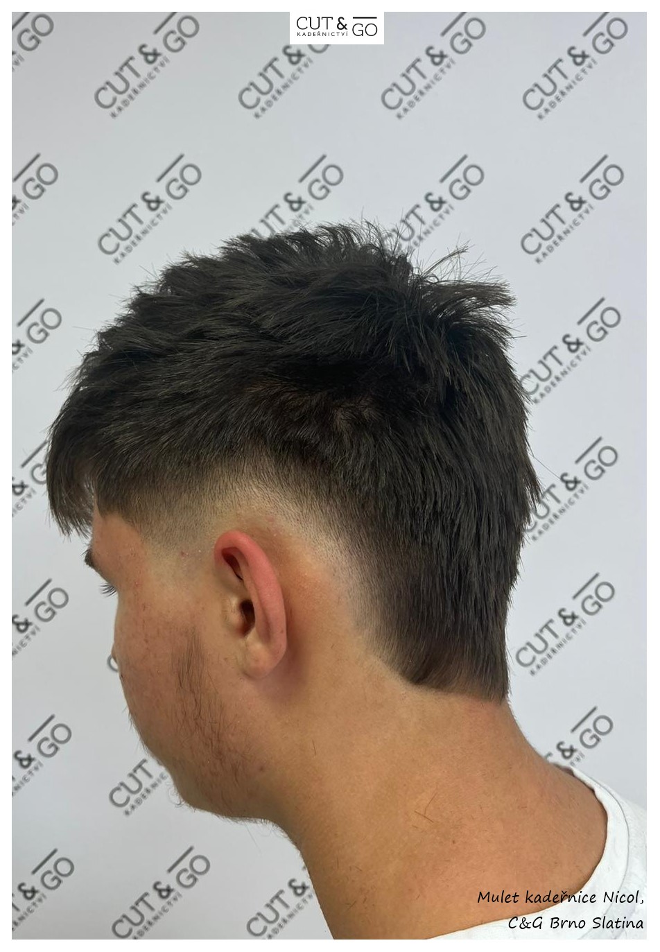 FOTO 225 pánské NICOL